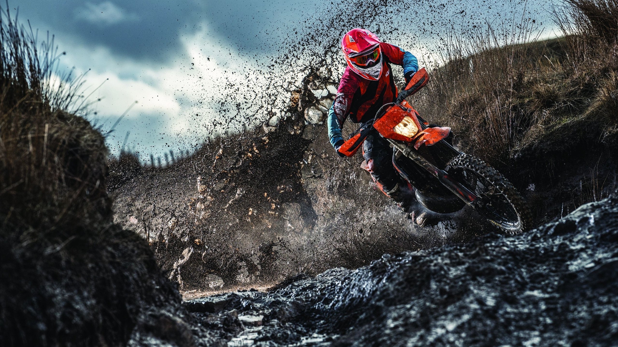 女子100自赛澳洲选手包揽前列，澳洲百米记录