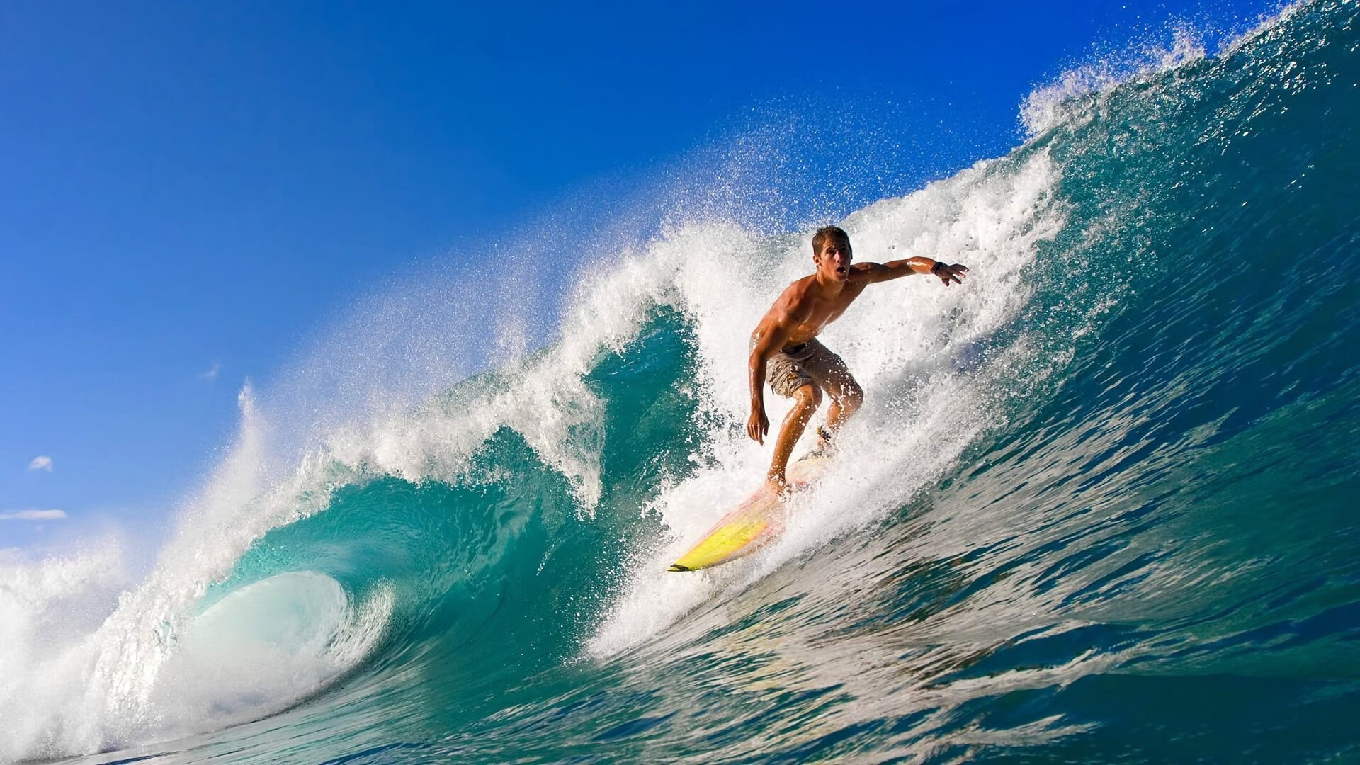 女队新秀速度惊人 游进前四,新秀女团是真的吗