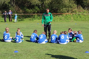 mk体育-球队教练组是否借助VAR数据辅助赛后战术修复，球员 教练